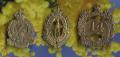 CAP BADGES