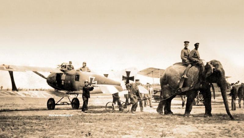 L' AVIATION ALLEMANDE .