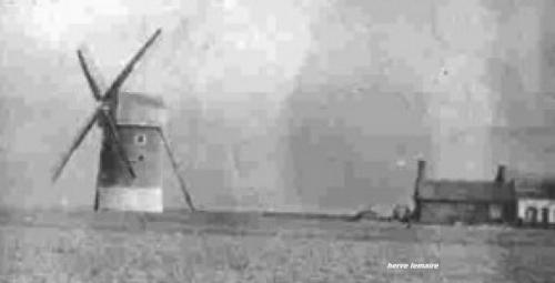 ROYAL NAVAL DIVISION & C° .