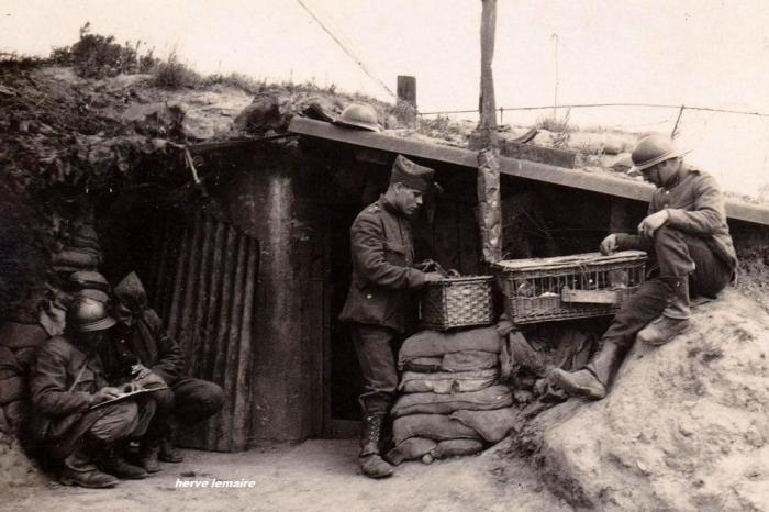 LES FUSILLIERS MARINS ET SOLDATS BELGES .