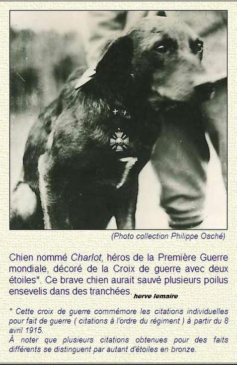 Freres D Armes