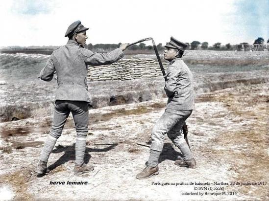 LE PORTUGAL .