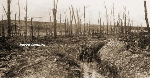 VERDUN 1916 .
