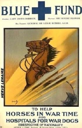 LES CHEVAUX/MULETS.