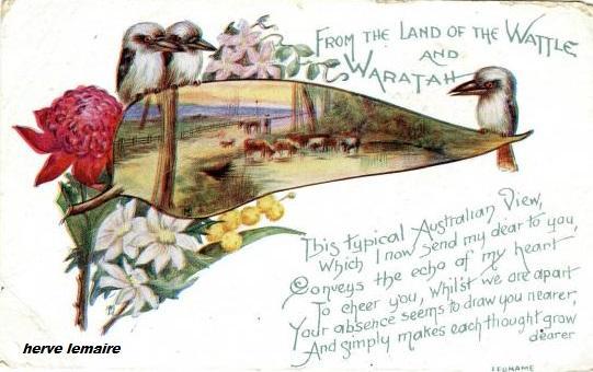 ANZAC .