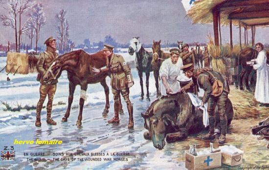 LES CHEVAUX/MULETS.