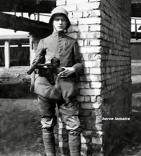 LES ARMES .