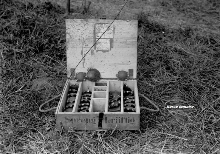 LES ARMES .