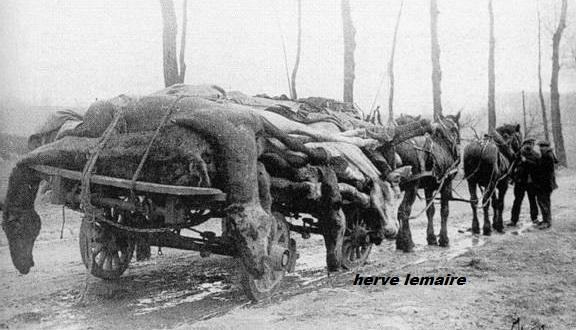 FRERES D'ARMES .