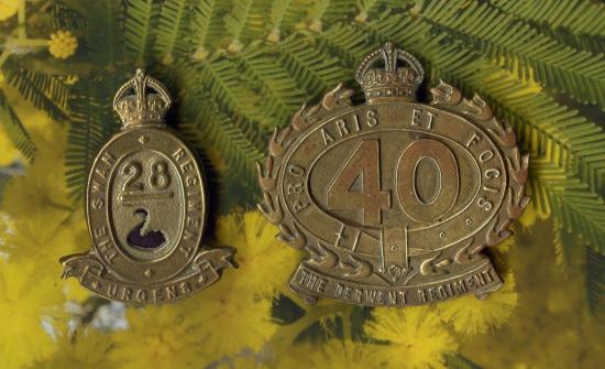 CAP  BADGES.