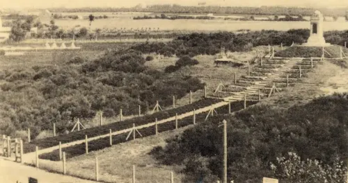ZIELLEBEKE .