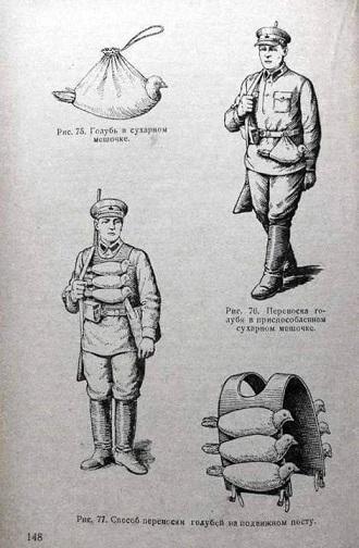 KOMMUNICATION .